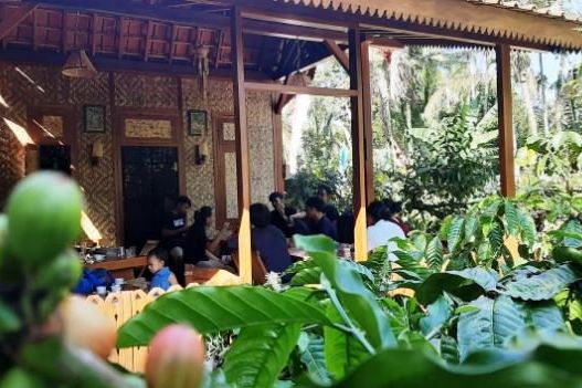 Permintaan Turun Akibat Covid-19, Harga Biji Kopi Anjlok 40 Persen