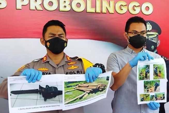 Tebang Kayu di Hutan Lindung, Dua Petani Probolinggo Diamankan
