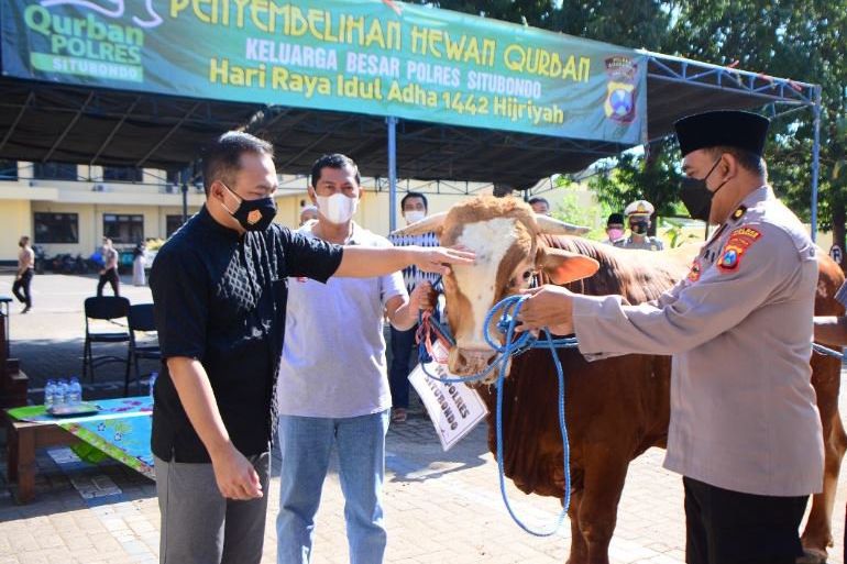 PKKM Darurat, Polres Situbondo Bagikan Daging Kurban dan 5 Ton Beras