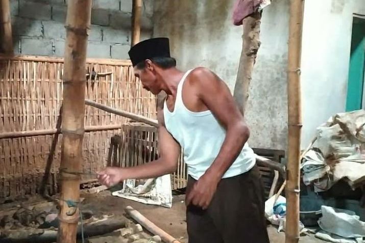 Dua Ekor Sapi Betina Milik Warga Probolinggo Dicuri, Korban Enggan Lapor Polisi