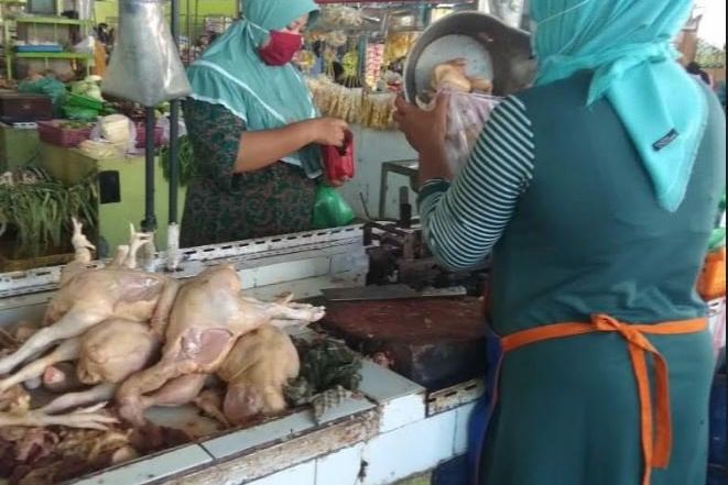 Kenaikan Harga Daging Ayam Potong Dipicu Kenaikan Harga Pakan Ternak