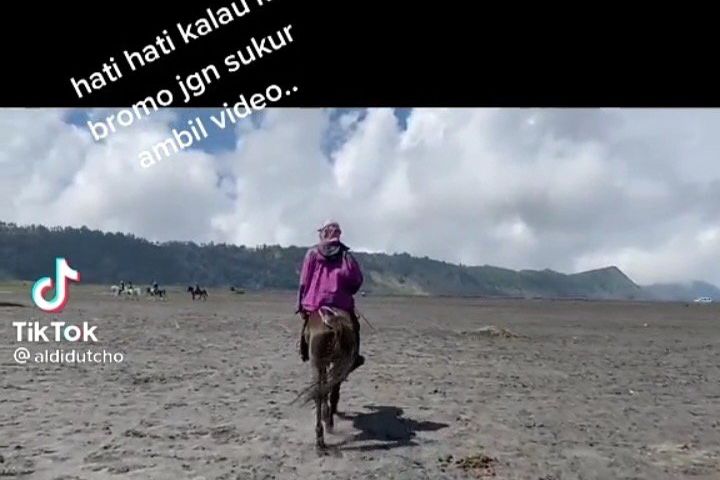 Viral, Oknum Ojek Kuda Wisata Bromo Diduga Palak Wisatawan