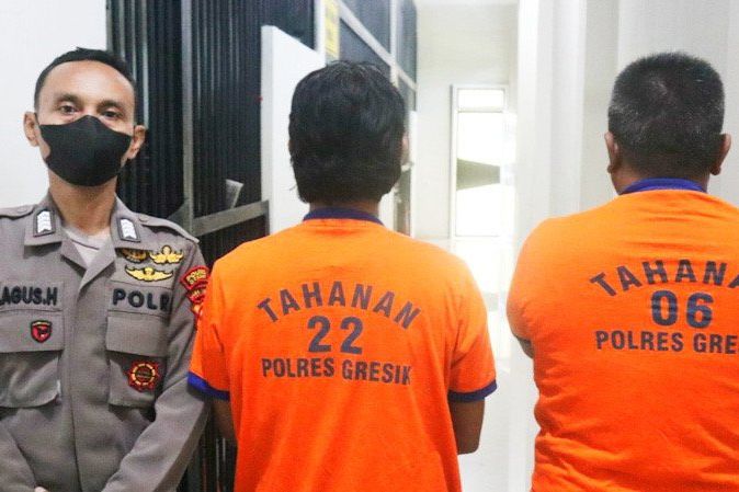Pernikahan Manusia Dengan Kambing di Gresik, Dua Orang Ditahan