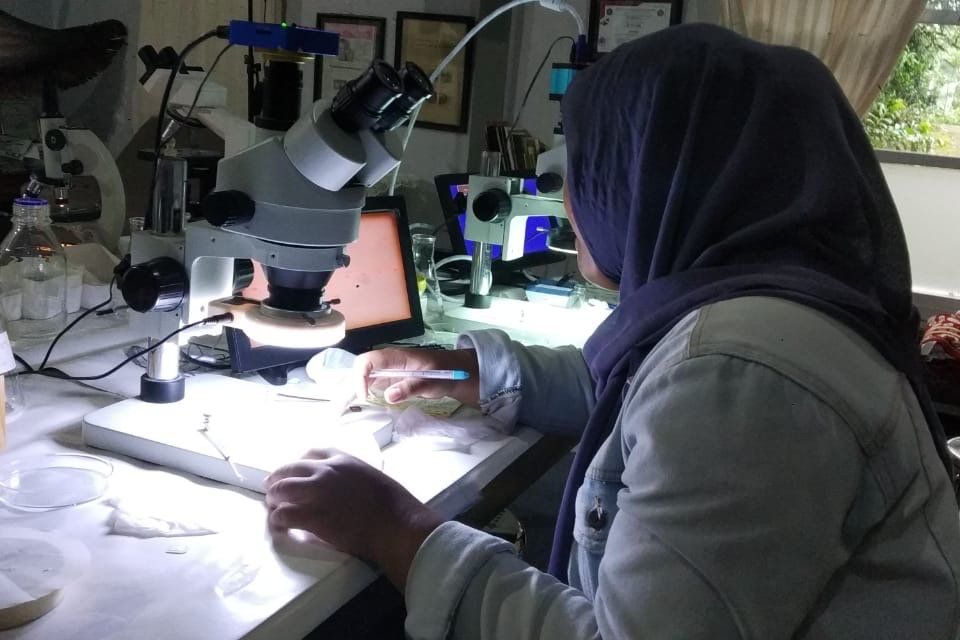 Kandungan Mikroplastik di Pesisir Surabaya Mengkhawatirkan
