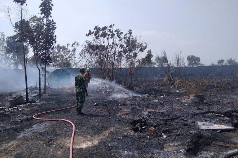 Lahan Dekat SMKN Mojoanyar Mojokerto Terbakar, Ratusan Pelajar Panik Keluar Kelas