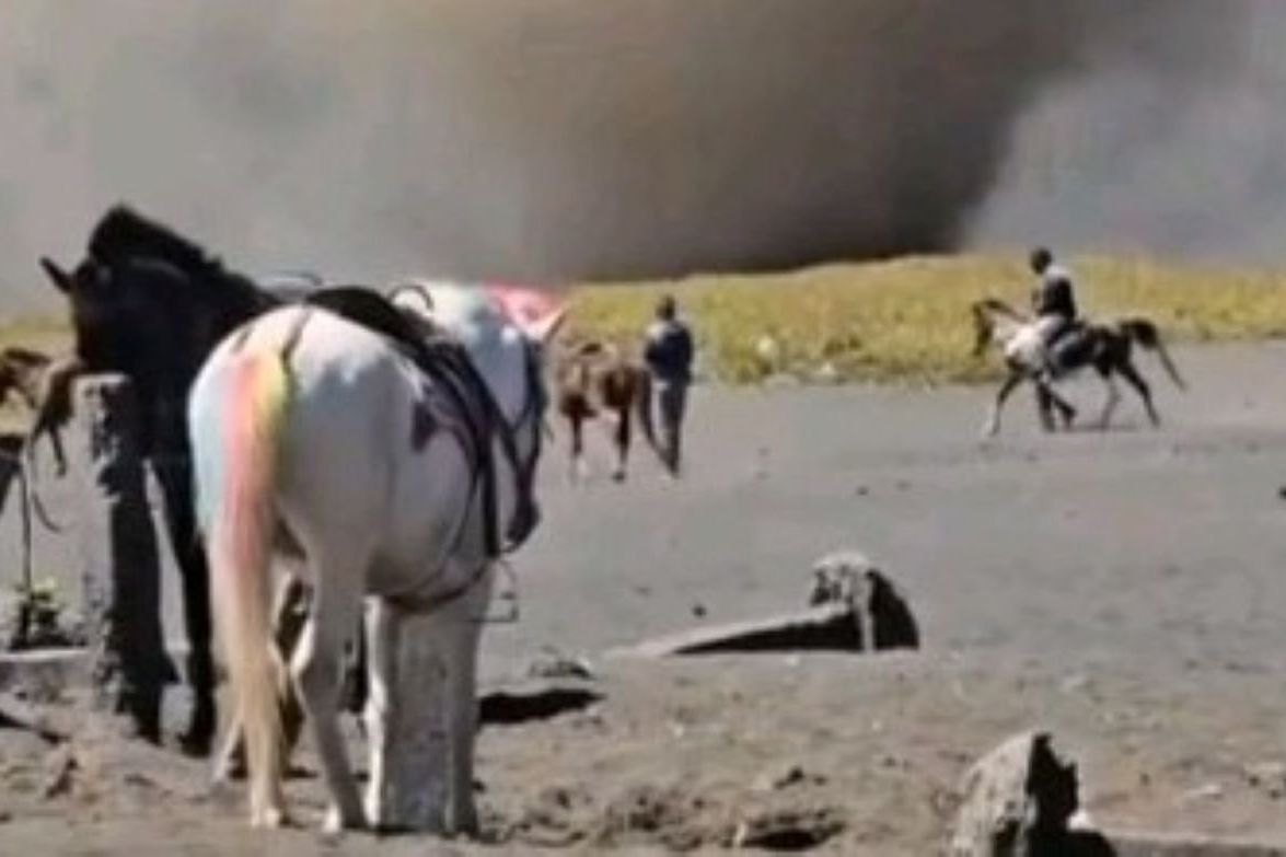 Viral Pusaran Angin di Bromo, BPBD Pastikan Bukan Puting Beliung