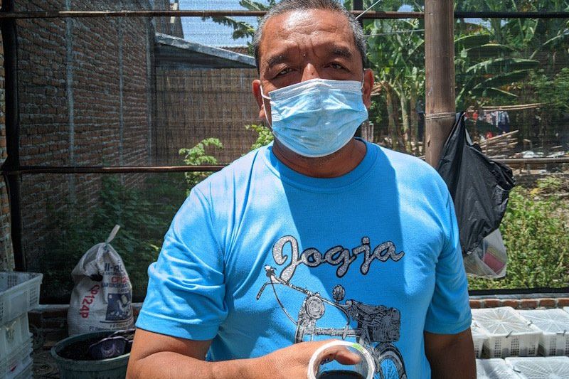 Di Tangan Warga Ponorogo, Urine Kelinci Bisa Jadi Pundi Rupiah Sampai Rp 20 Juta