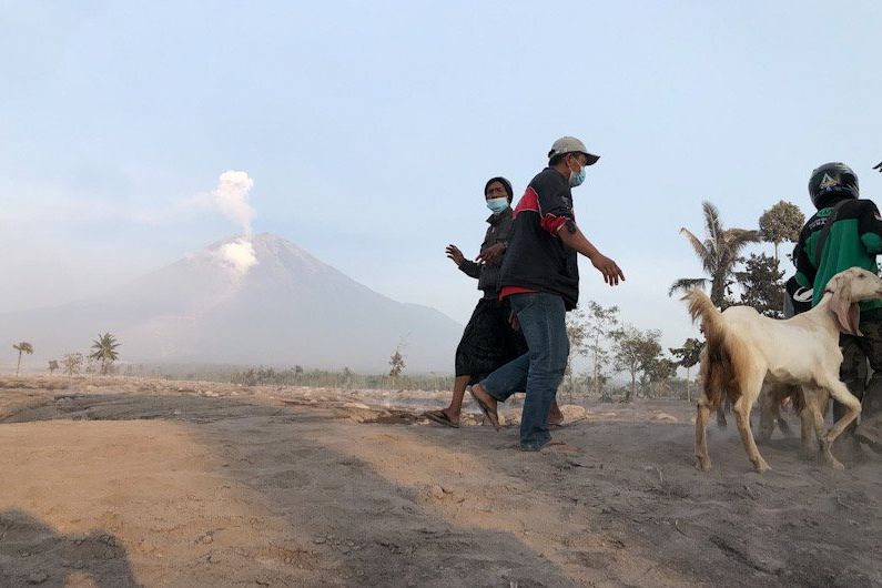 Tim SAR Gabungan Lakukan Penyisiran dan Pengamatan 3 Wilayah Terdampak APG Gunung Semeru