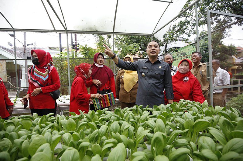 Rungkut Kidul dan Kedung Baruk Surabaya Juara Umum Program Kampung Iklim 2022