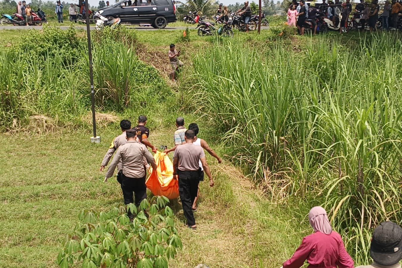 Lansia Tertemper KA Sritanjung di Lintas Tanggul–Jatiroto, KAI Sampaikan Keprihatinan