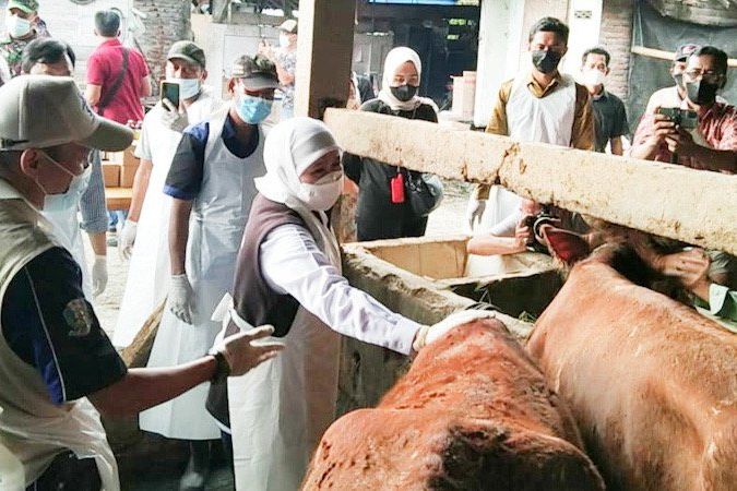 Terjangkit Wabah PMK, Gubernur Jatim Intruksikan Pasar Sapi Tutup Sementara