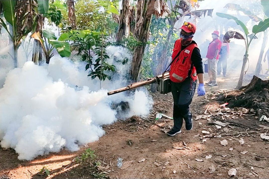 Peningkatan Kasus DBD di Jember Bagian Barat Jadi Perhatian