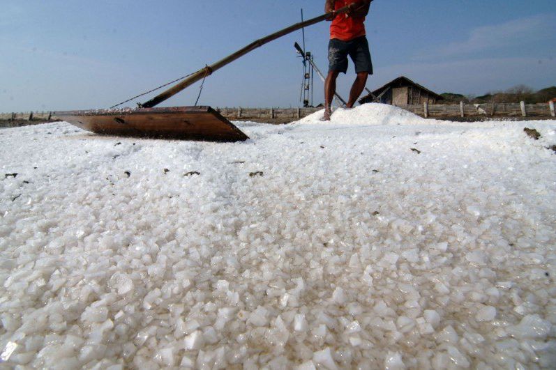 Madura Jadi Pusat Pengembangan Garam Nasional