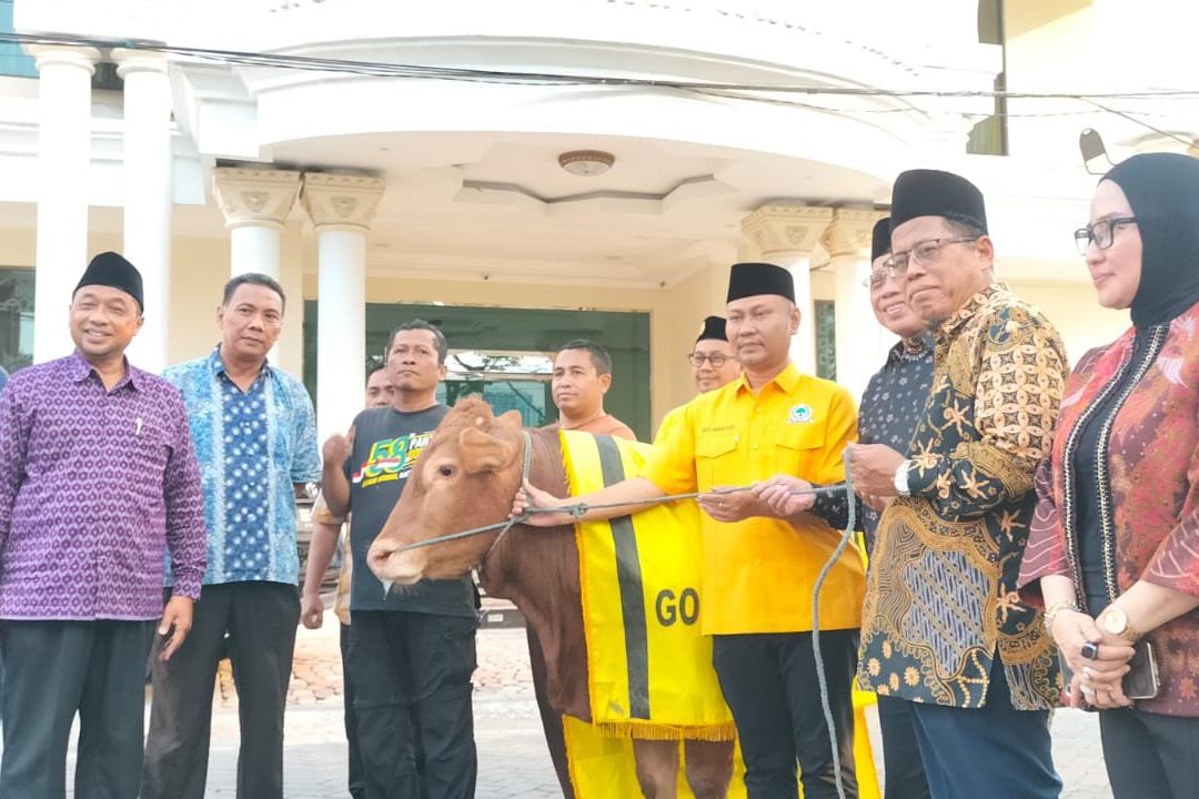 Golkar Serahkan Sapi Kurban ke PW Muhammadiyah Jatim