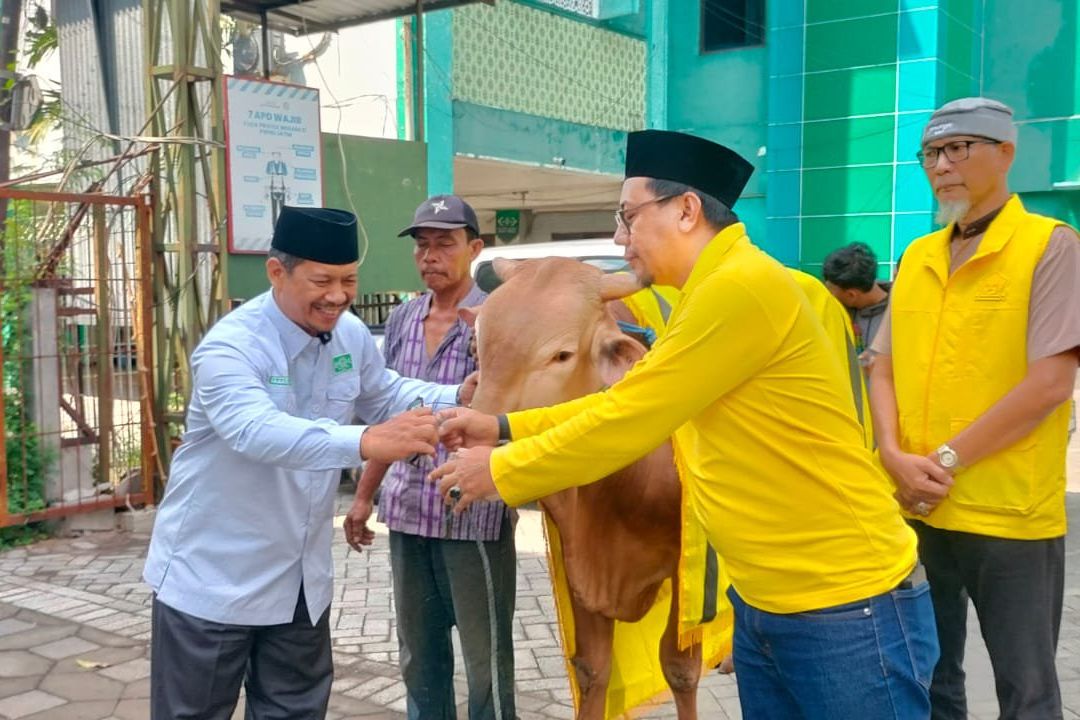 Golkar Serahkan Sapi Kurban 700 Kilogram ke PWNU dan Muhammadiyah Jatim