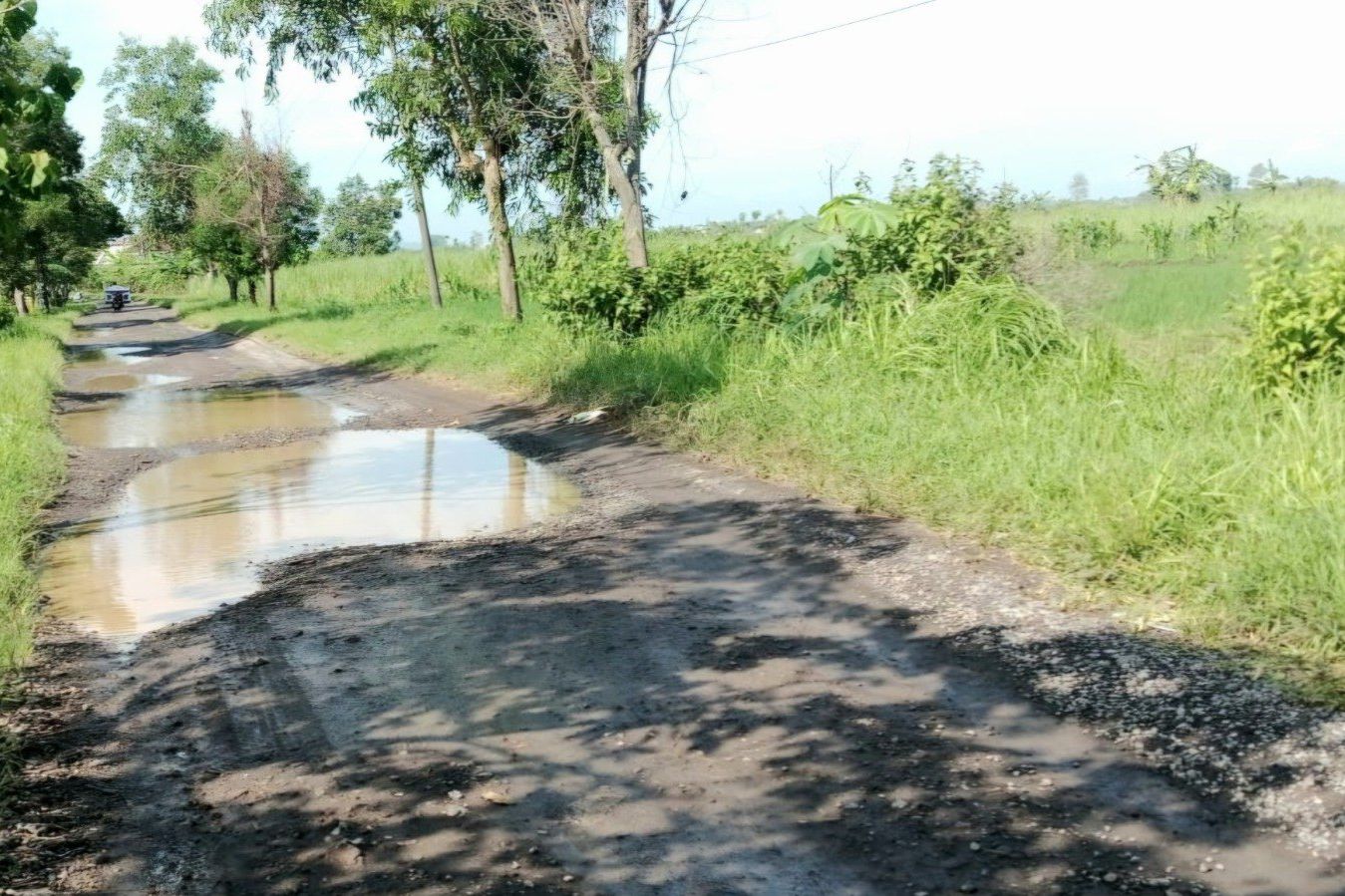 Jalan Brangkal–Jombangdelik Rusak Parah, Warga Desak Pemkab Gresik Segera Bertindak