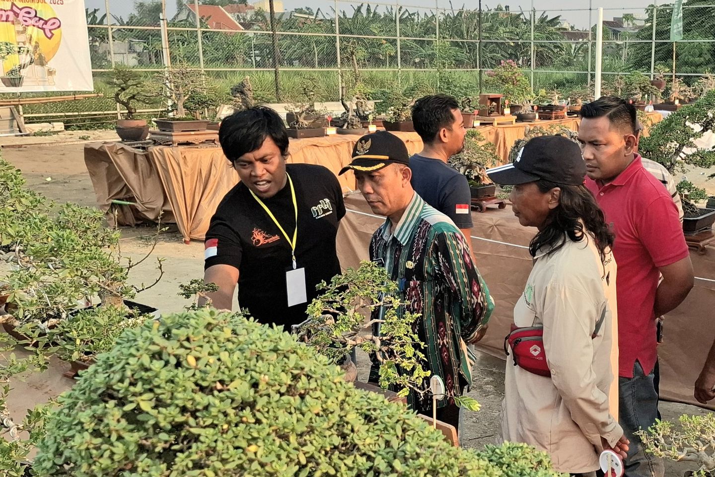 Pameran Bonsai Grumbul 2025, Geliat Ekonomi Kreatif di Cerme Kidul
