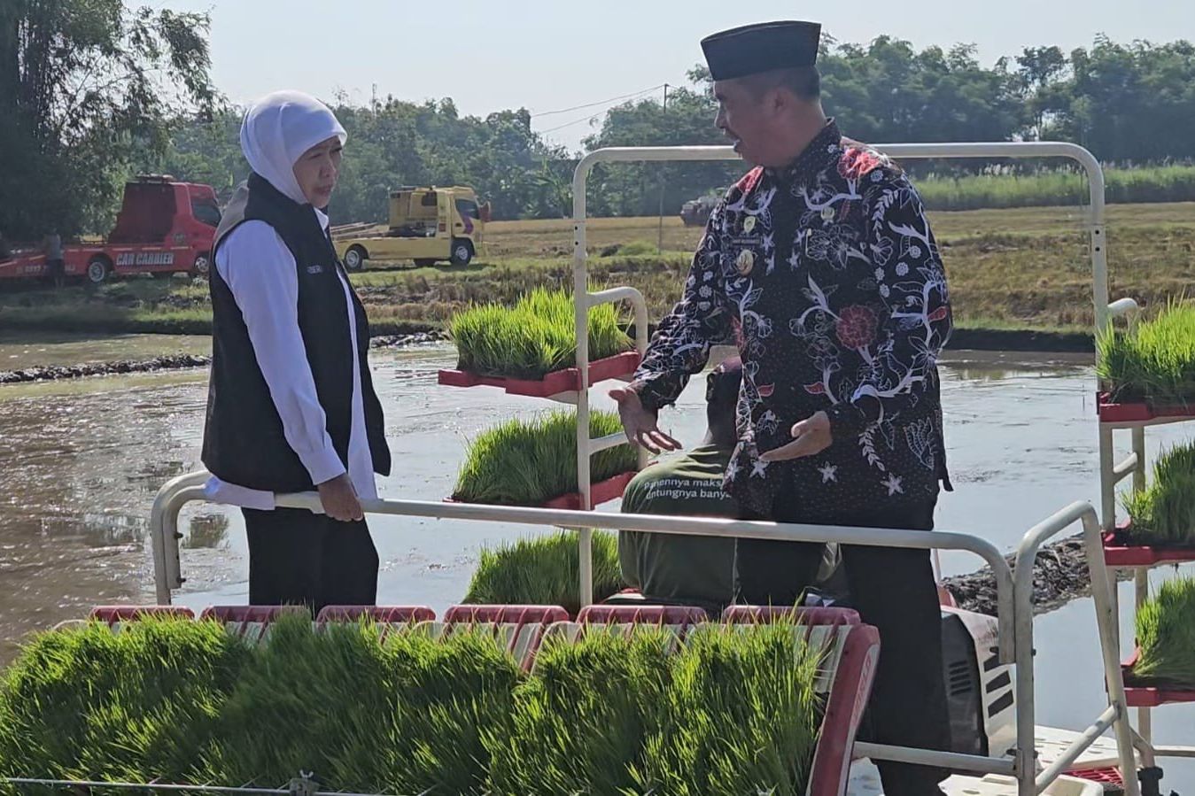 Percepatan Tanam Padi di Jawa Timur, Pemprov Ungkap Strateginya