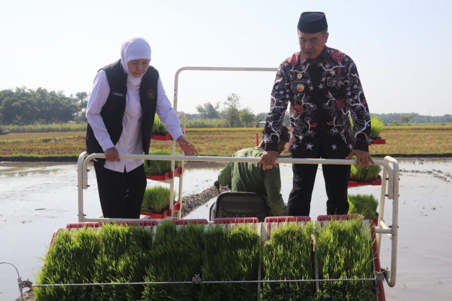 Pemkab Madiun Fokus Pertahankan Produksi Padi Tahun Ini