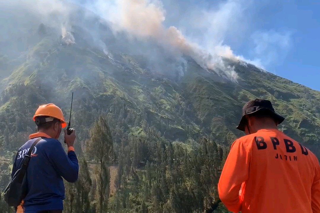 Kebakaran Hutan Kembali Melanda Gunung Ringgit Probolinggo, Api Masih Berkobar hingga Siang