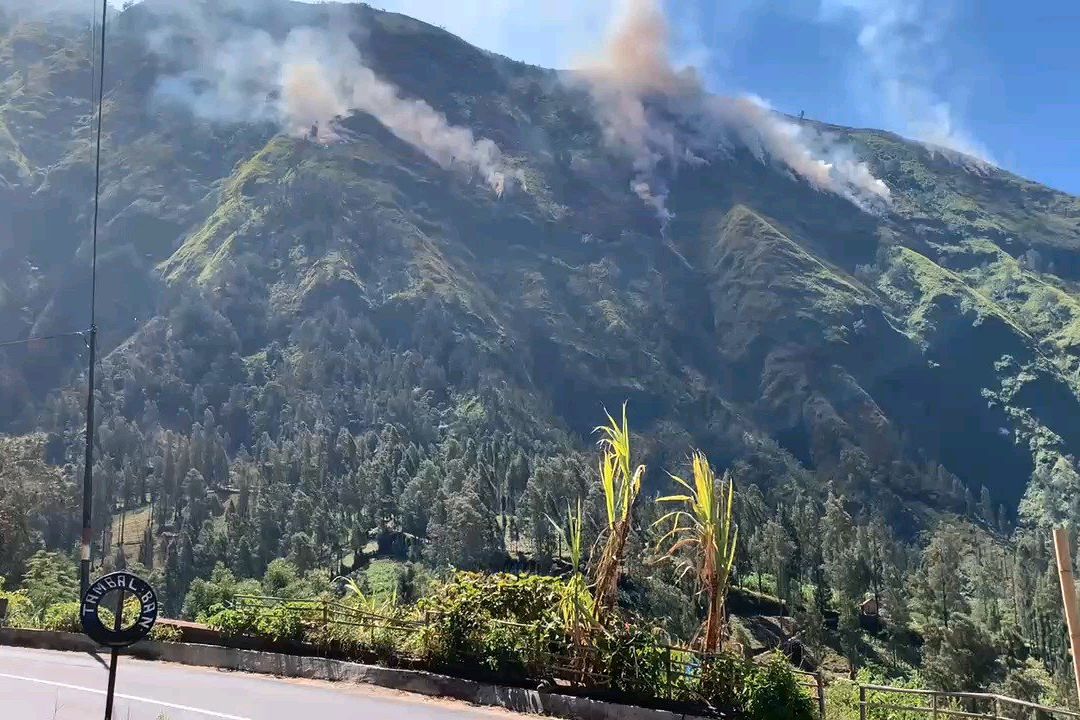 Tebing Curam Hambat Pemadaman Kebakaran Hutan di Gunung Ringgit, Perhutani Andalkan Sekat Alam