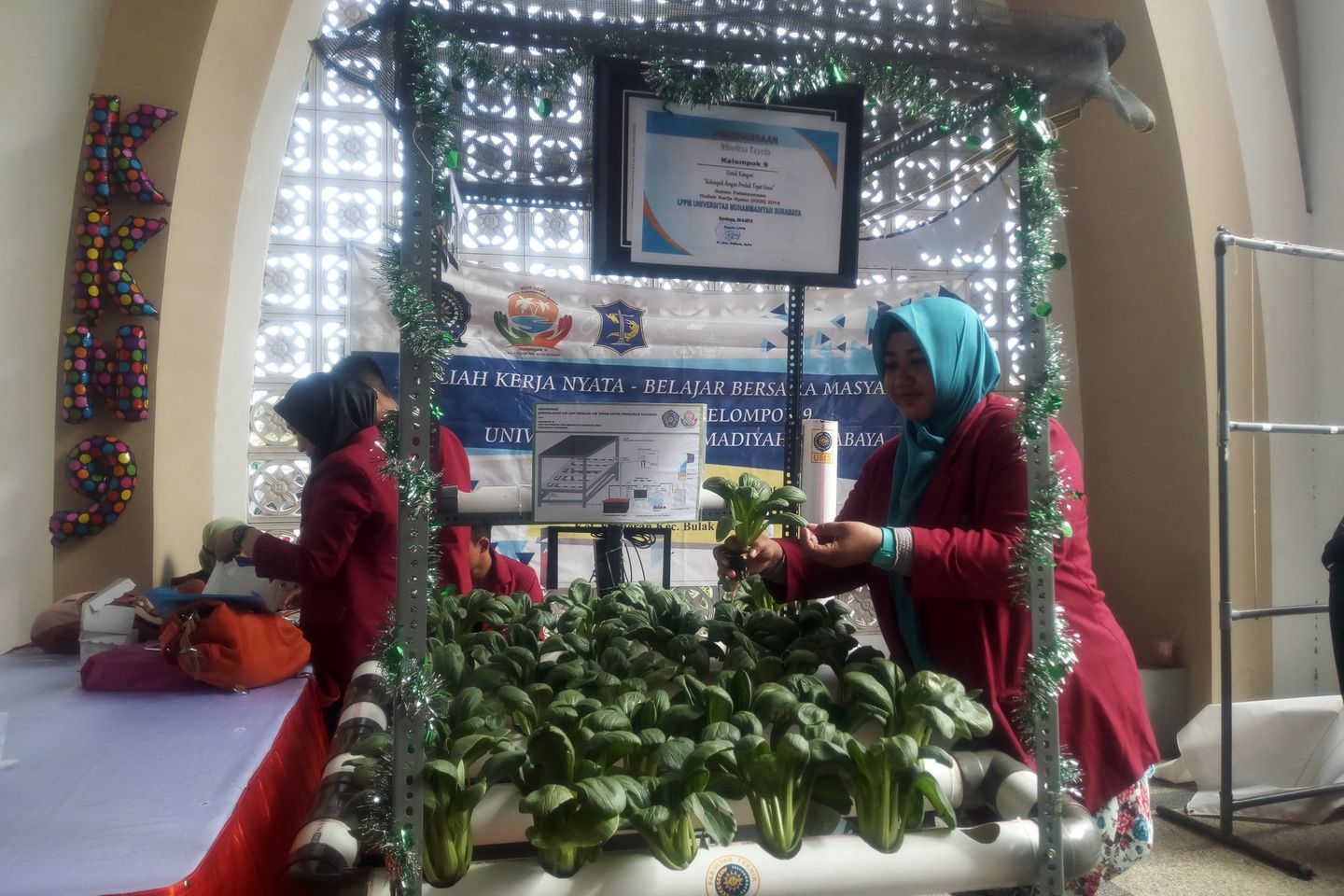 Mahasiswa Bantu Warga Kenjeran Tanam Sayur dengan Air Laut