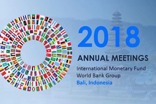 IMF World Bank, Jokowi Ingin Investasi Singapura di Kendal Direplikasi