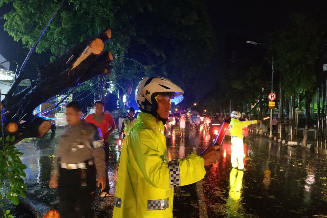 Angin Kencang Terjang Madiun, Sembilan Titik Akses Tertutup Pohon Tumbang