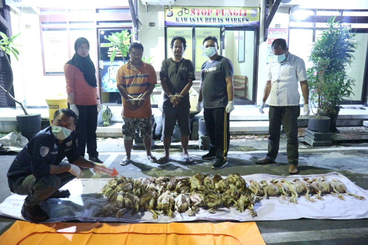 Polres Blitar Kota Ungkap Produksi Puluhan Ayam Tiren