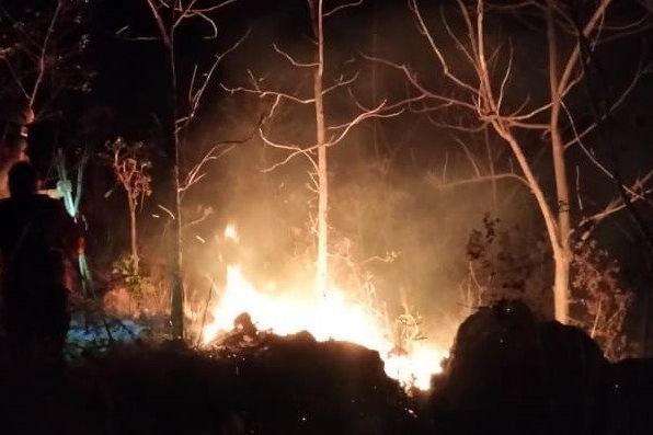 Pandemi COVID-19, Karhutla di Ponorogo Menurun Drastis