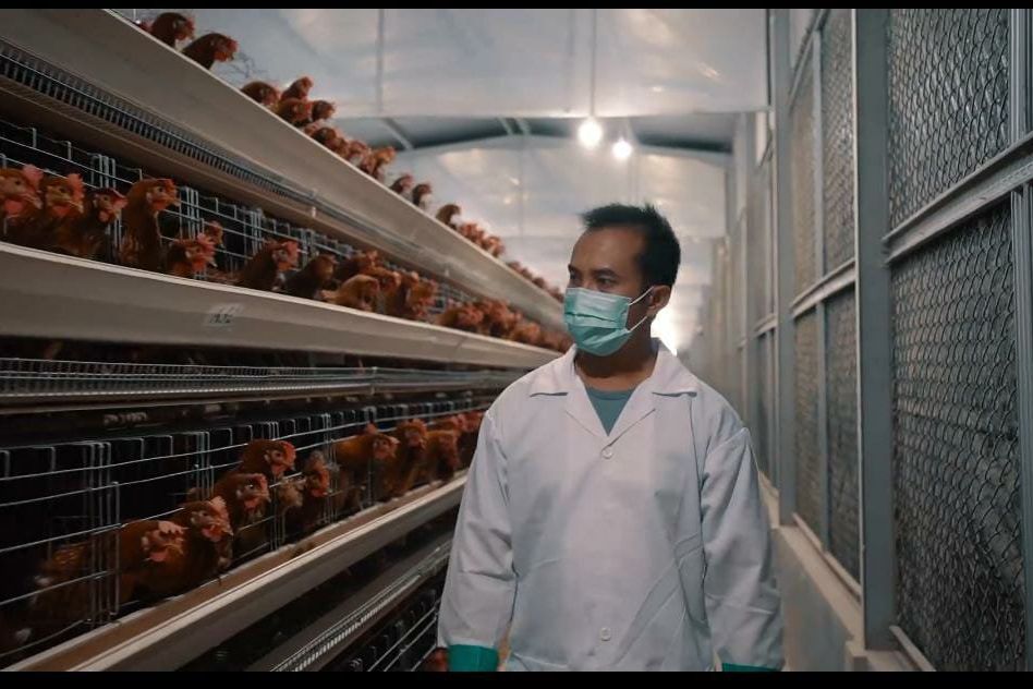 Unibraw Terima Bantuan Tempat Wirausaha Peternakan Ayam dari Charoen Pokpand