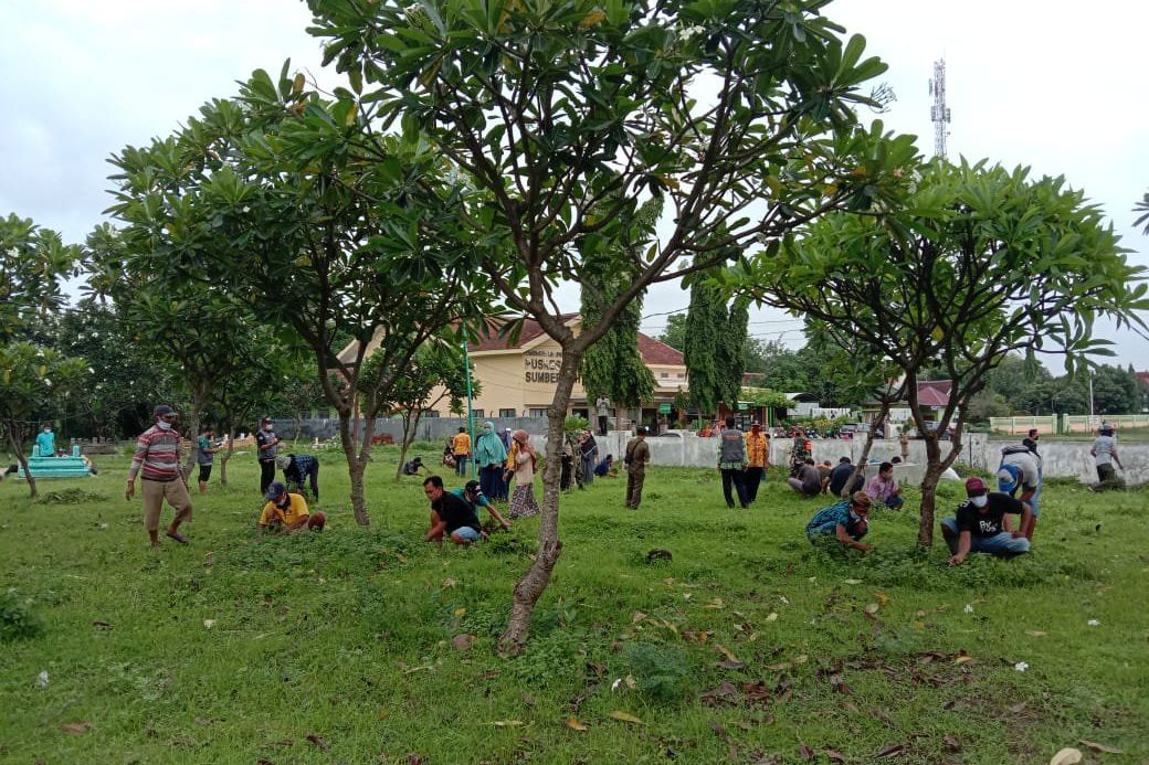 Pelanggar Prokes di Probolinggo Jalani Sanksi Cabuti Rumput Kuburan
