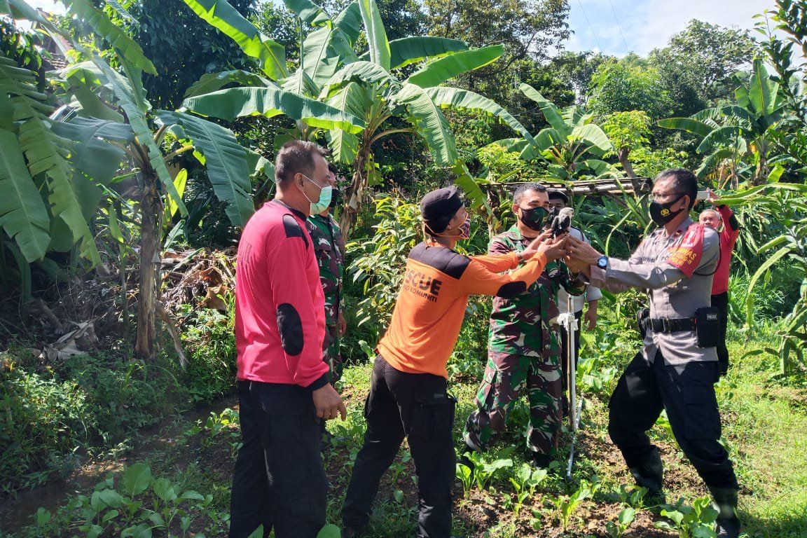 Welirang Komuniti Lepas Elang Tikus dan Burung Dilindungi Lainnya