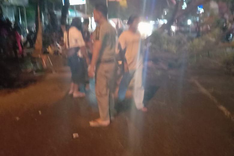 Angin Kencang, Pengendara Motor Tewas Tertimpa Pohon Besar di Mojokerto