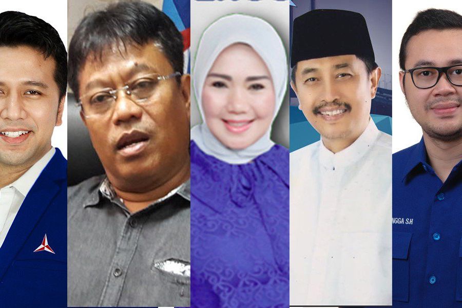 Ketua Demokrat Jatim Harus Berorientasi Milenial, Pengamat: Siapapun Boleh