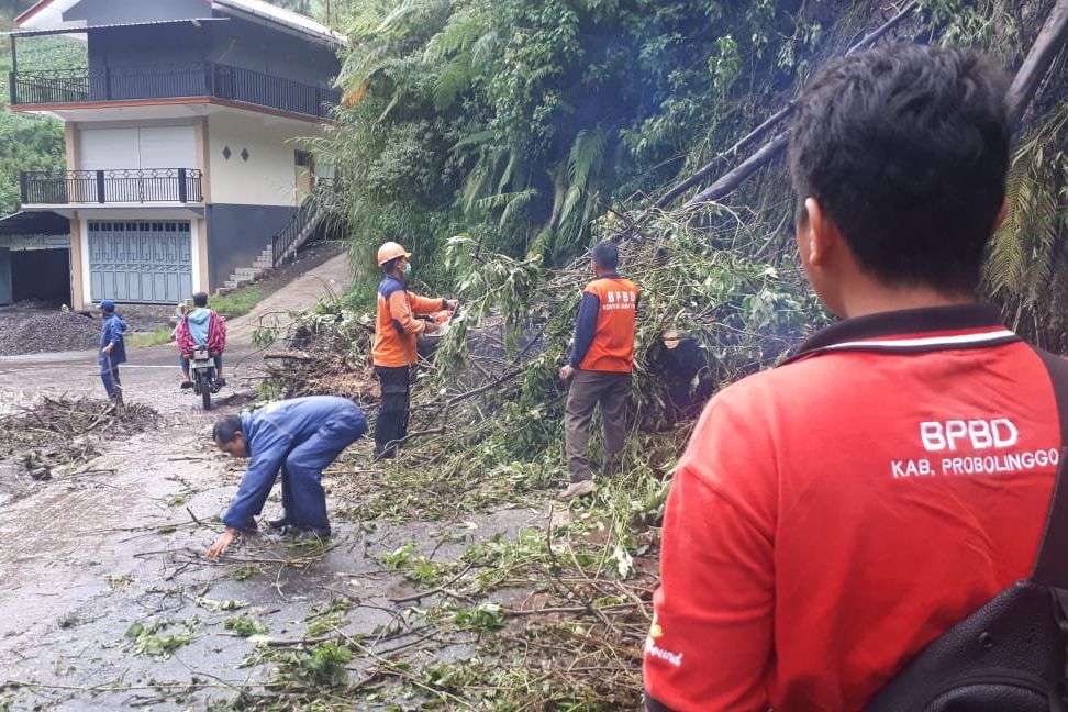 Jalan Tertimpa Longsor, Akses ke Gunung Bromo Sempat Tertutup
