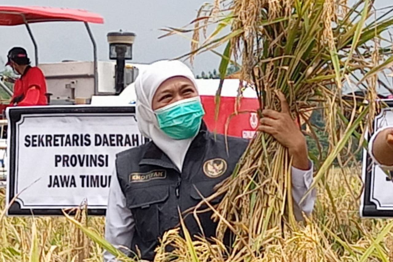 Mulai Mei 2021, Tunjangan ASN di Ponorogo Dirupakan Beras 10 Kilogram 