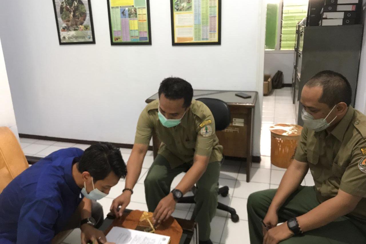 Wakil Ketua DPRD Jember Serahkan Kucing Hutan ke BKSDA untuk Dilepasliarkan