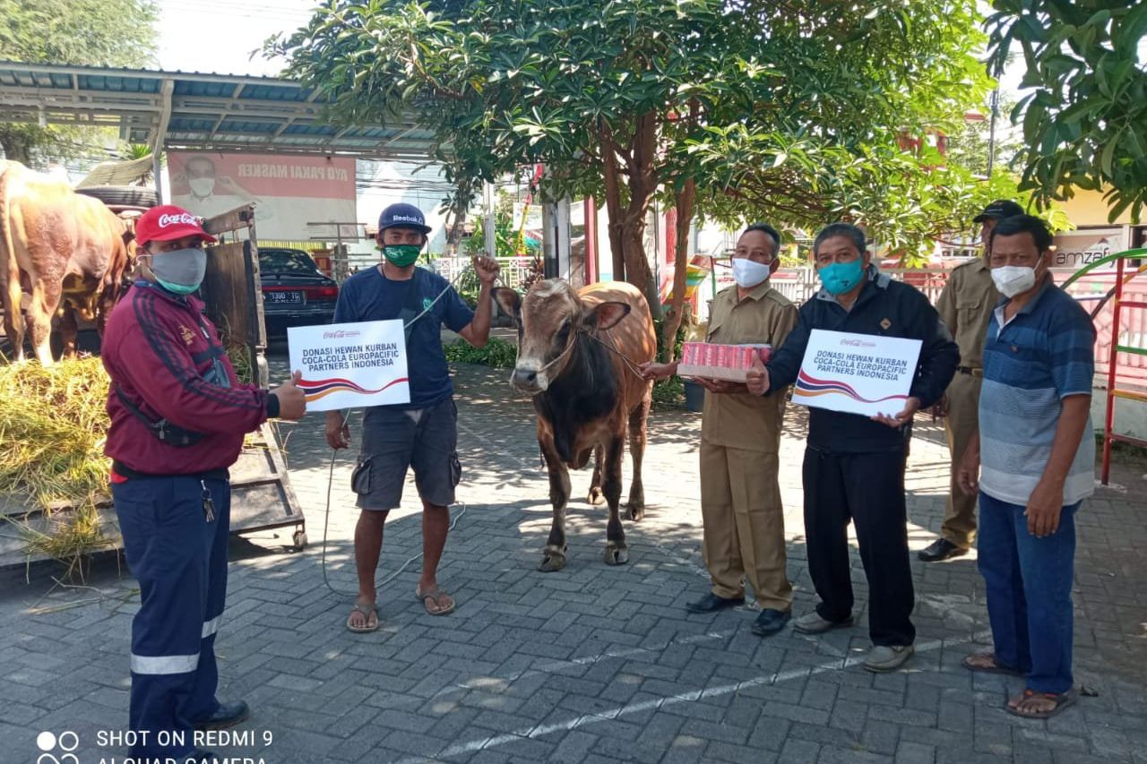 CCEP Berbagi Hewan Kurban untuk Komunitas dan Masyarakat sekitar Pabrik