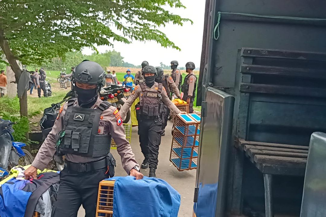 Jadi Ajang Judi, Arena Balap Merpati di Probolinggo Digerebek
