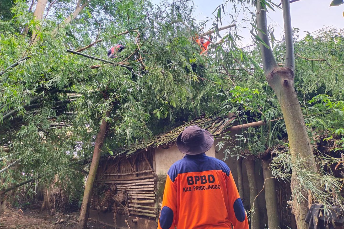 Belasan Rumah dan Kandang Ternak di Probolinggo Rusak akibat Puting Beliung