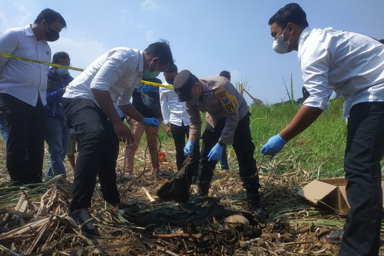 Panen Tebu, Buruh Temukan Kerangka Manusia di Bantaran Sungai Brantas