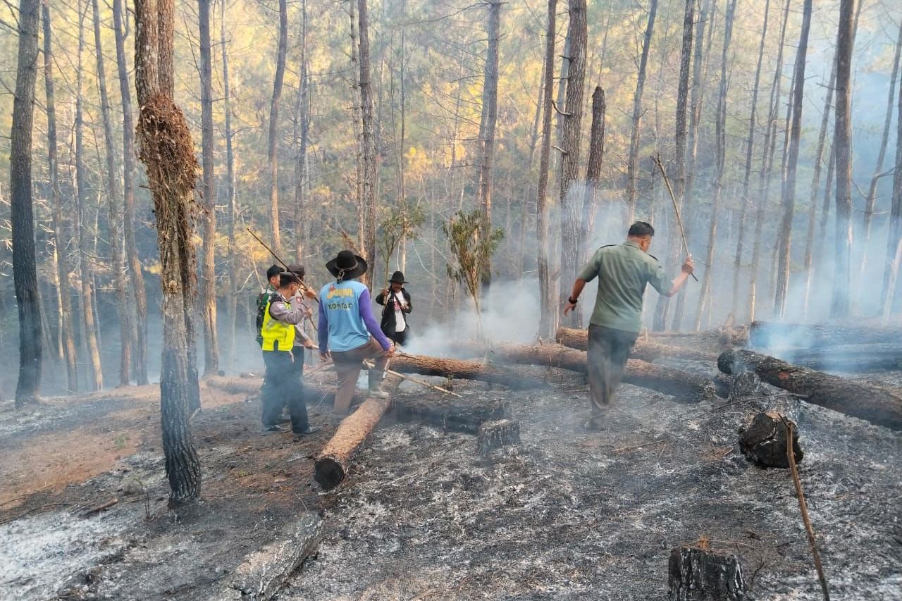 Hutan Di Petungsewu Malang Terbakar