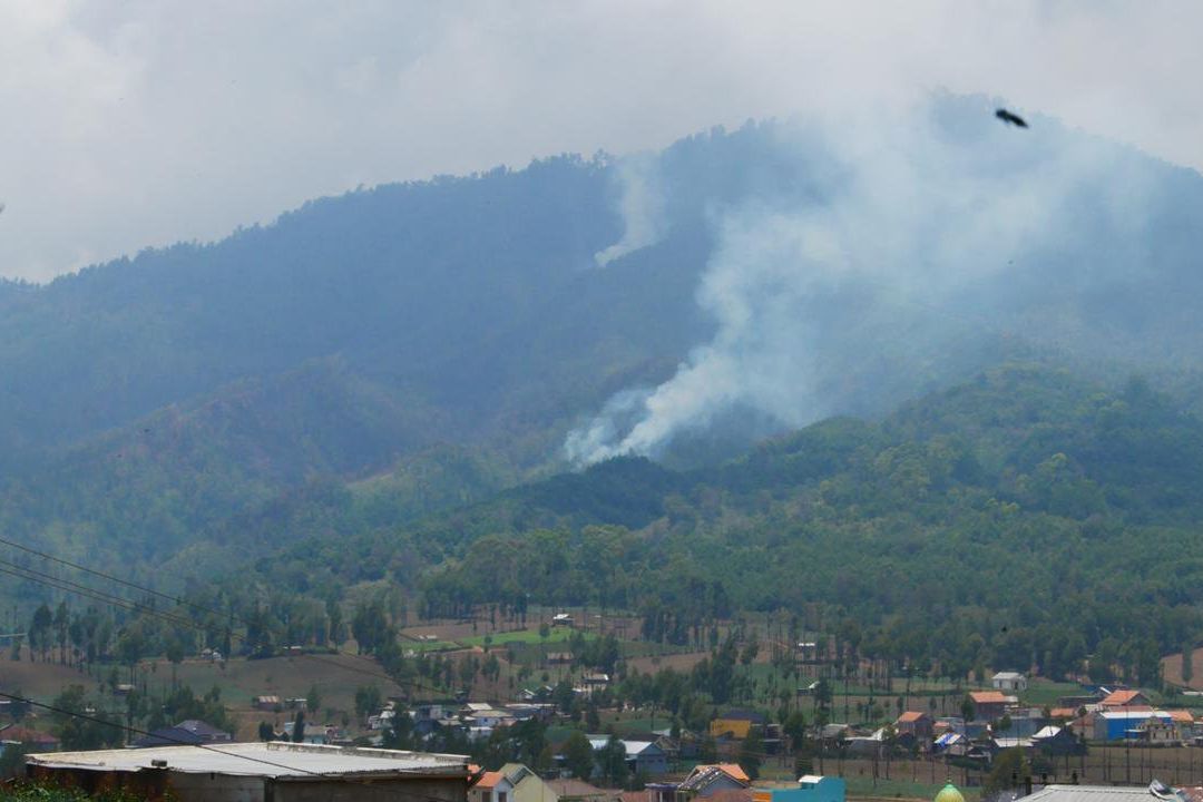 Lagi, Kebakaran Hutan TNBTS di Lereng Gunung Semeru Terjadi

 