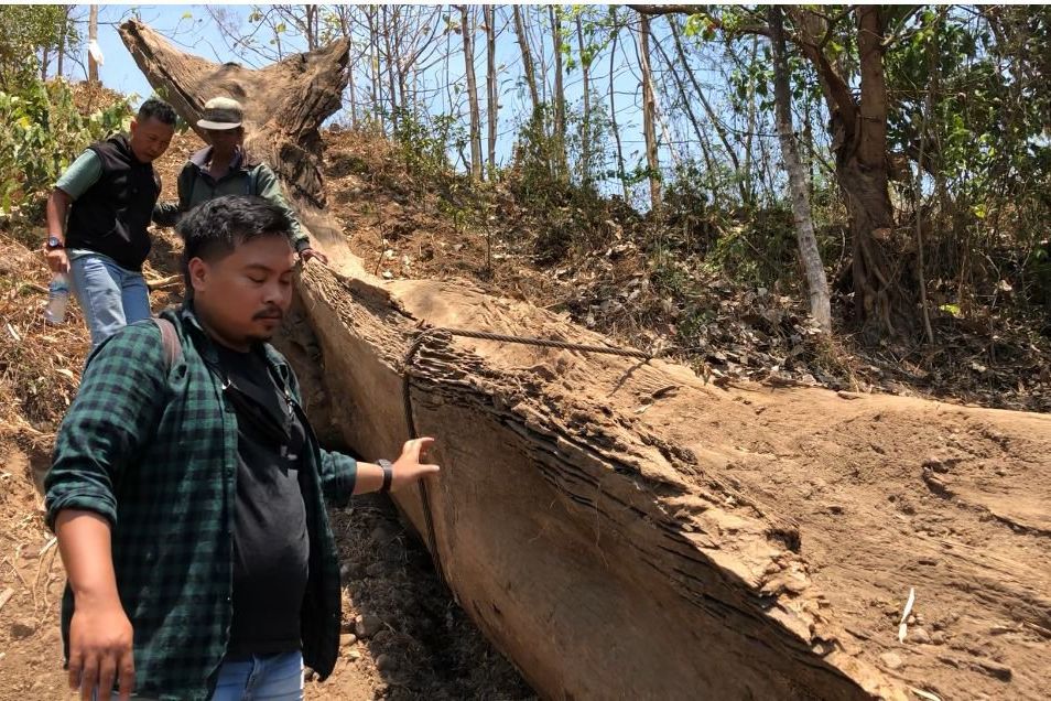 Warga Dlanggu Temukan Pohon Kayu Terpendam Dalam Tanah yang Diperkirakan Berusia Ratusan Tahun

 