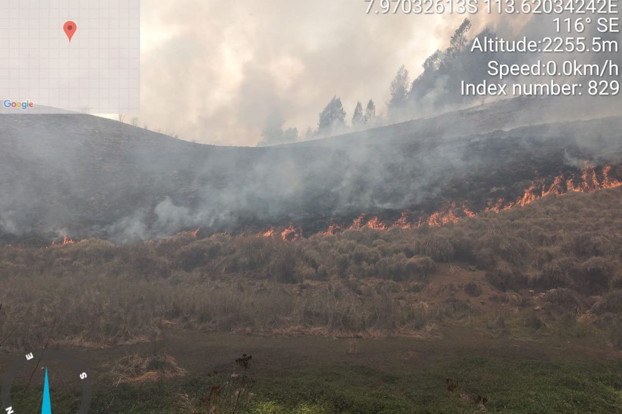 Savana Kawasan Suaka Margasatwa Lereng Gunung Argopuro Kebakaran