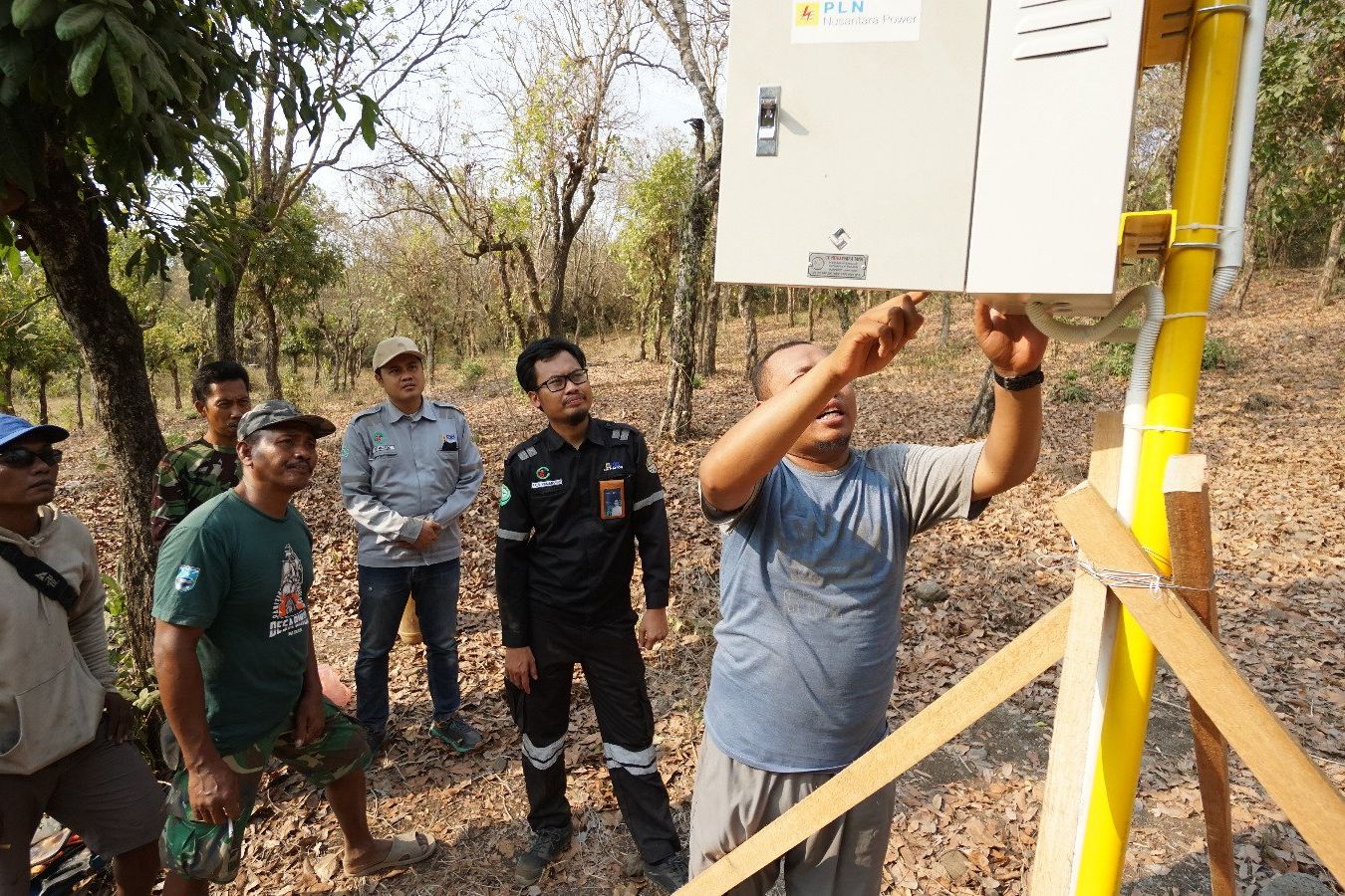 Usir Hama Babi, Kelompok Tani Probolinggo Gunakan Sensor Gerak