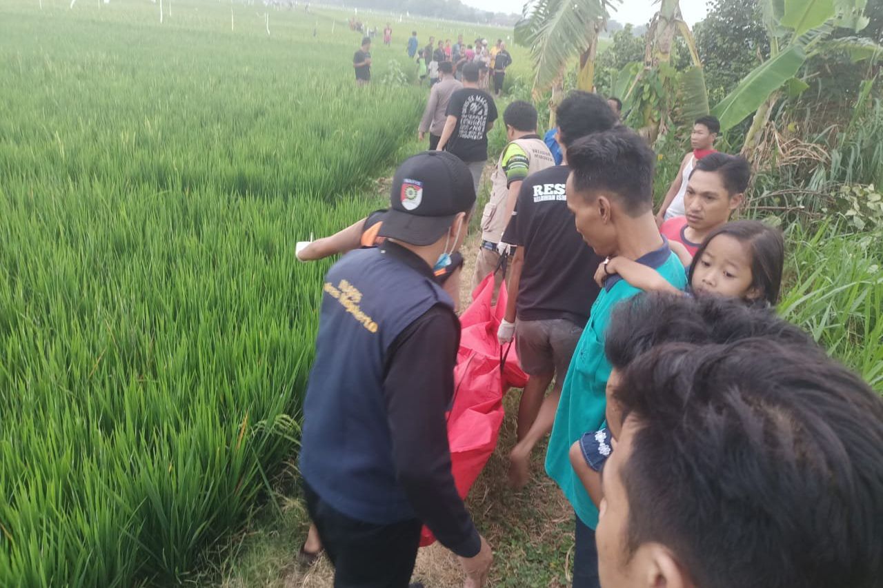 Polisi Mojokerto Selidiki Pria Lansia Ditemukan Tak Bernyawa di Sawah