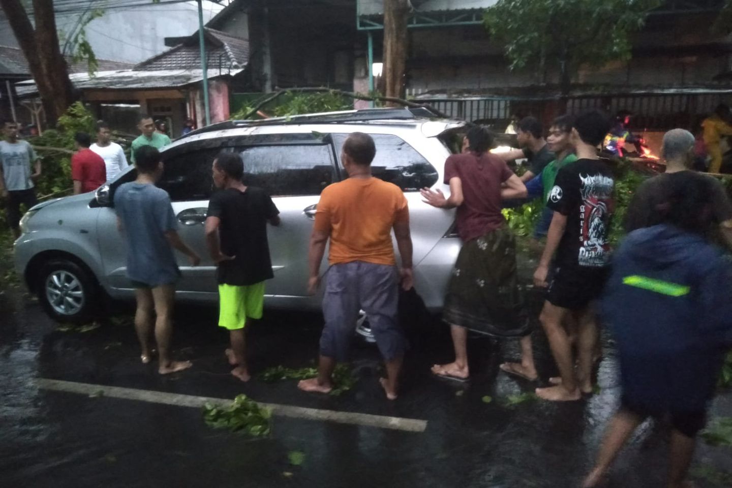 Hujan dan Angin Kencang, Sejumlah Pohon di Mojokerto Tumbang Timpa Pengendara