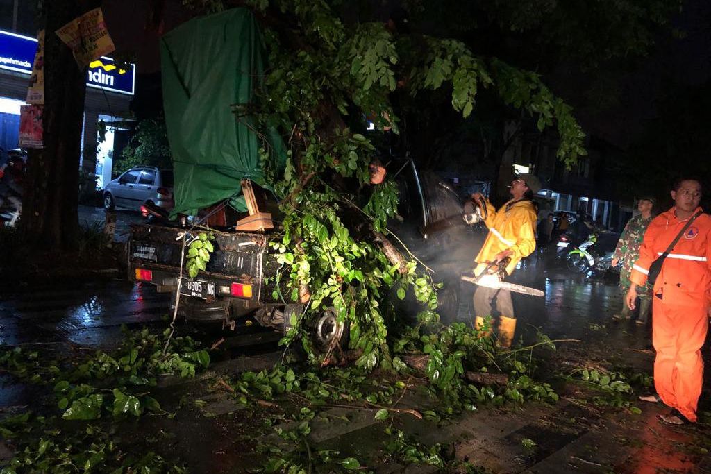 Ranting Pohon Tumbang Timpa Mobil Pikap di Mojosari